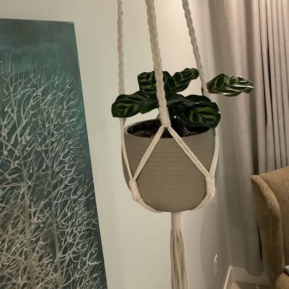 Altru Macrame Plant Hanger - Picture 2 of 4